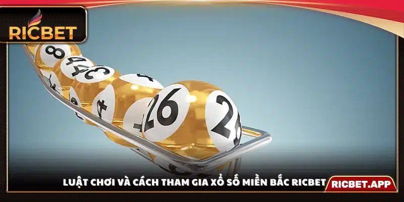Hướng dẫn chi tiết cách chơi xổ số miền Bắc Ricbet 